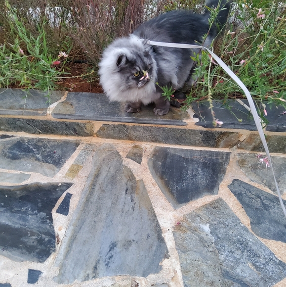 Meet your Posher, Vera - Picture 15 of 15